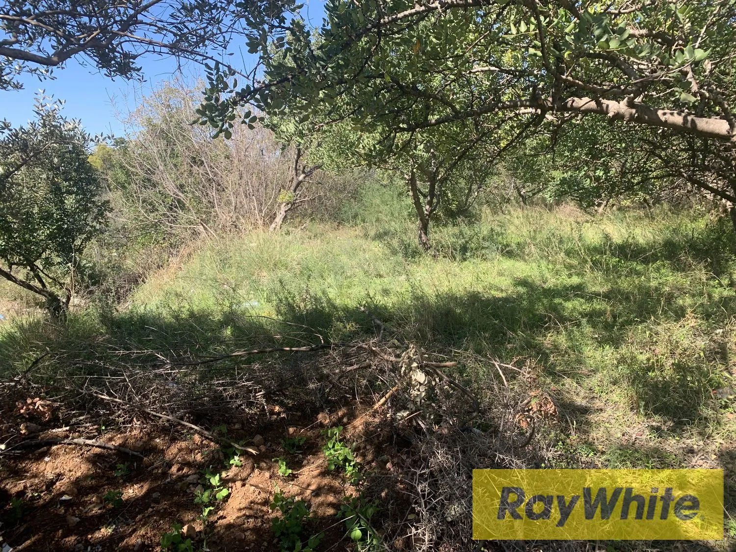 Land For Rent In Amchit Jbeil — الصورة 4