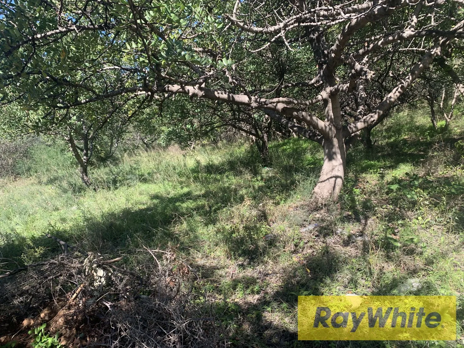 Land For Rent In Amchit Jbeil — الصورة 5