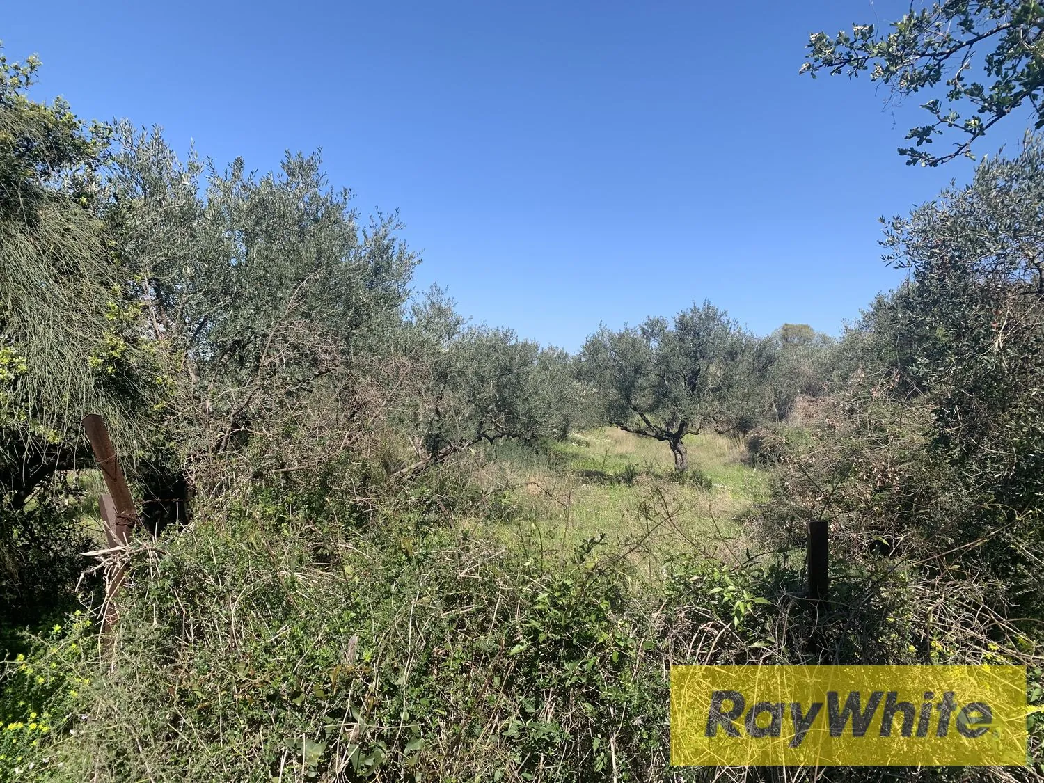 Land For Rent In Amchit Jbeil