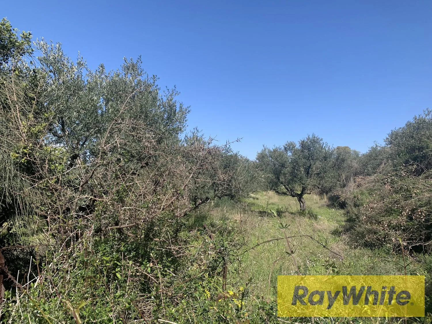 Land For Rent In Amchit Jbeil — الصورة 2