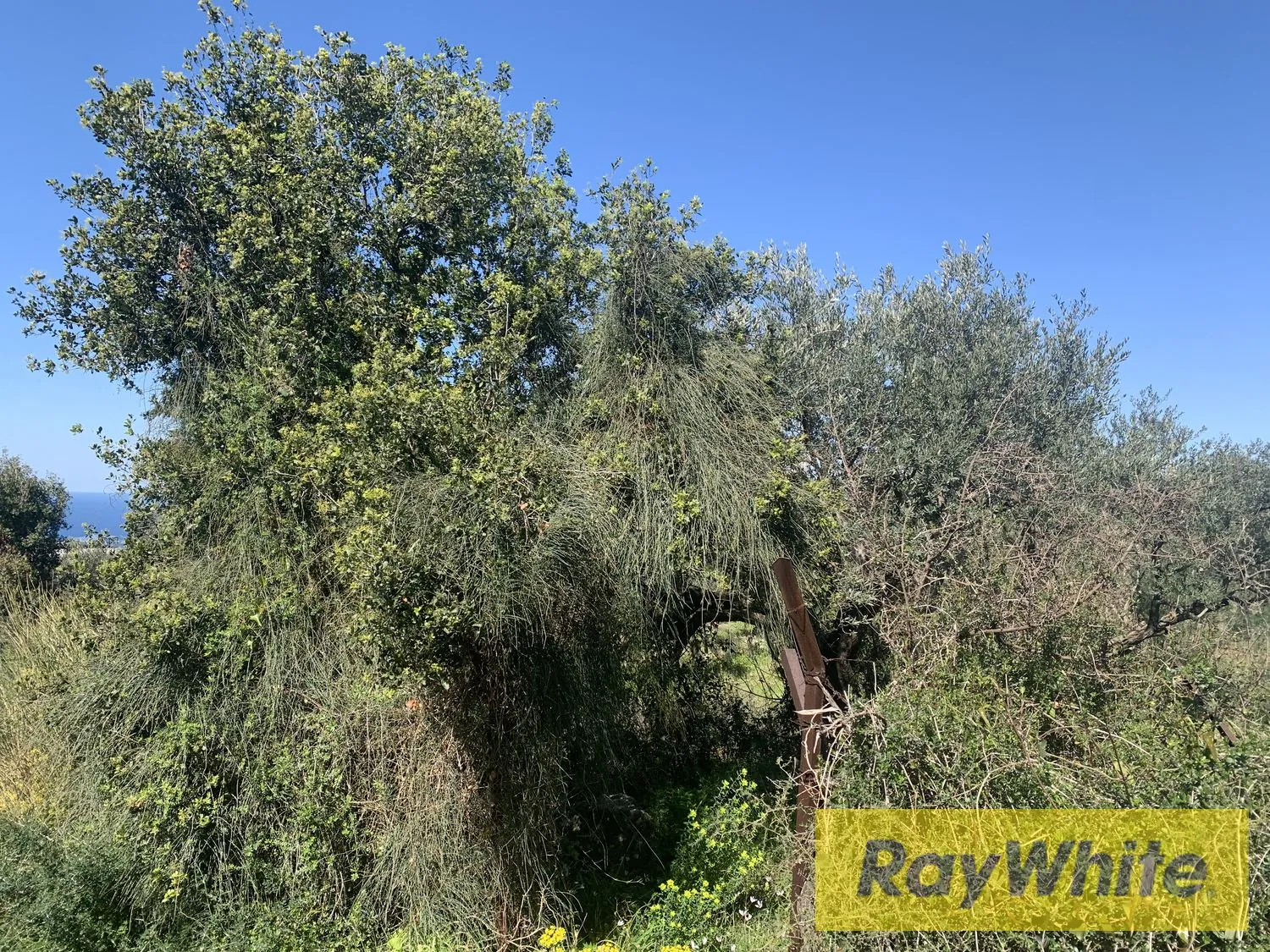 Land For Rent In Amchit Jbeil — الصورة 3