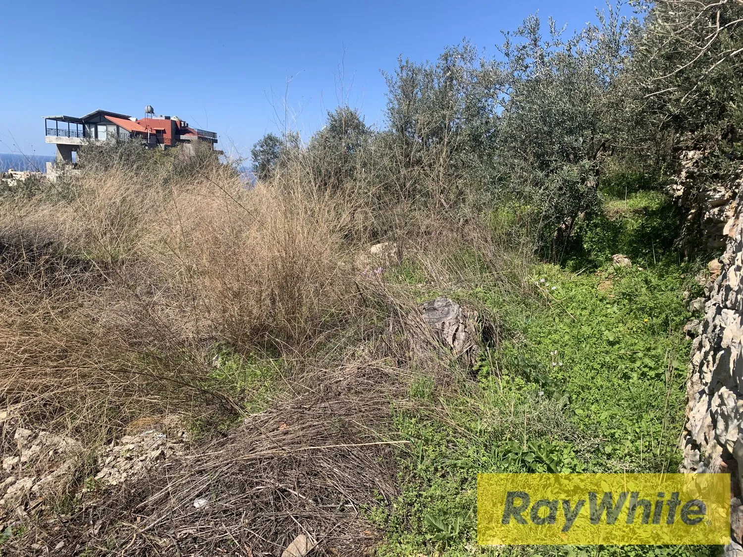 Land For Rent In Aamchit Jbeil