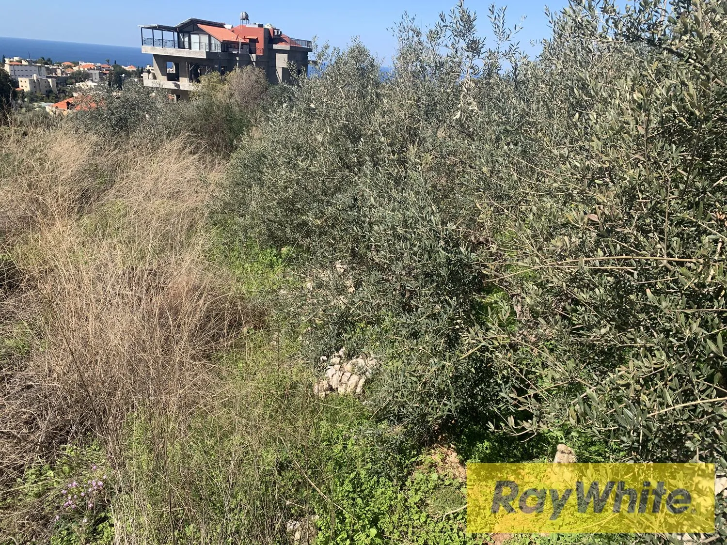 Land For Rent In Aamchit Jbeil — الصورة 3