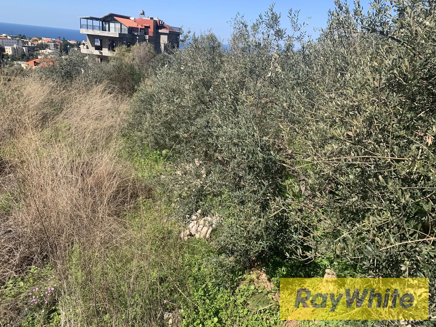 Land For Rent In Aamchit Jbeil — الصورة 4