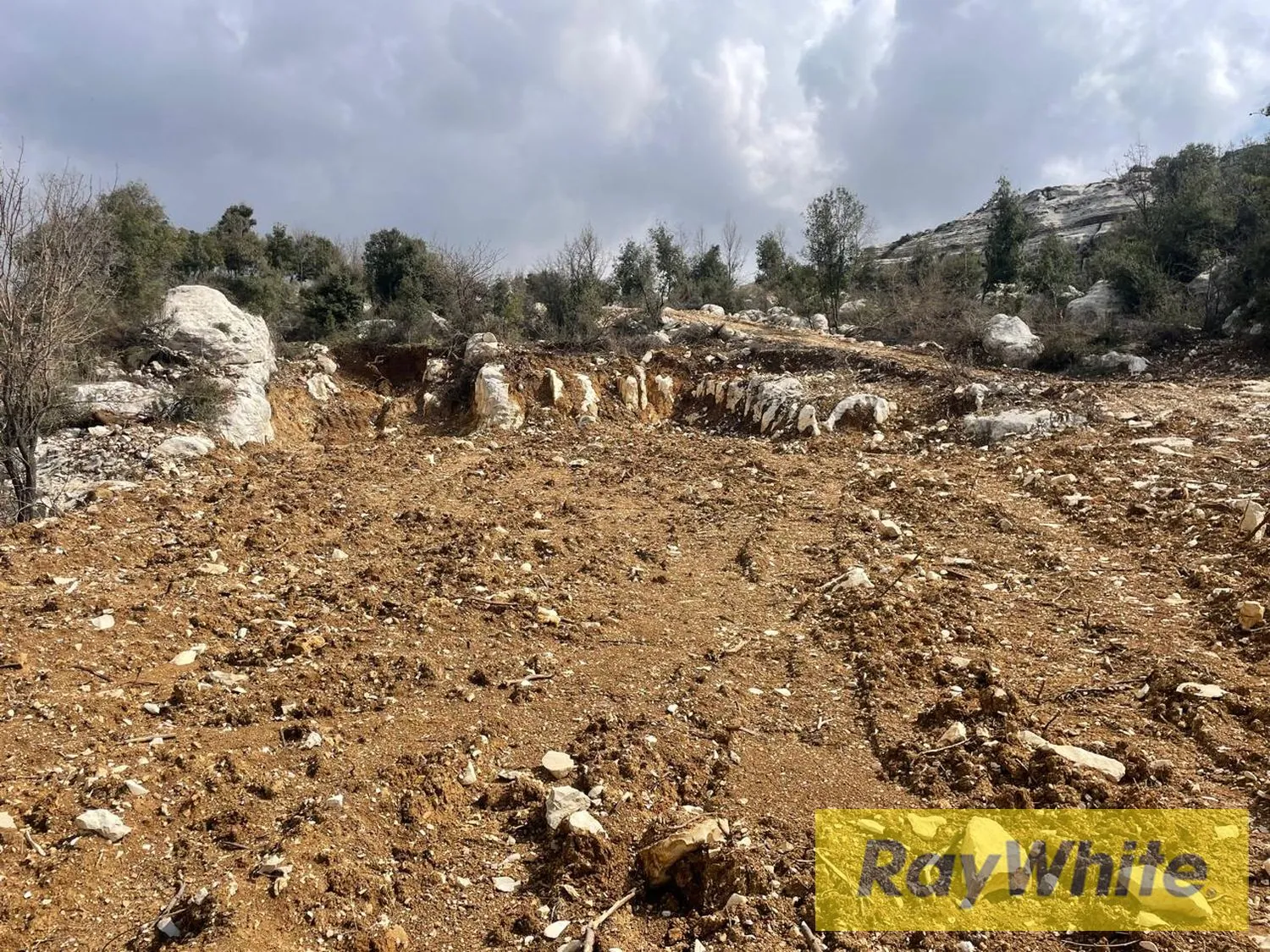 Land For Sale In Mechmech Jbeil — الصورة 4