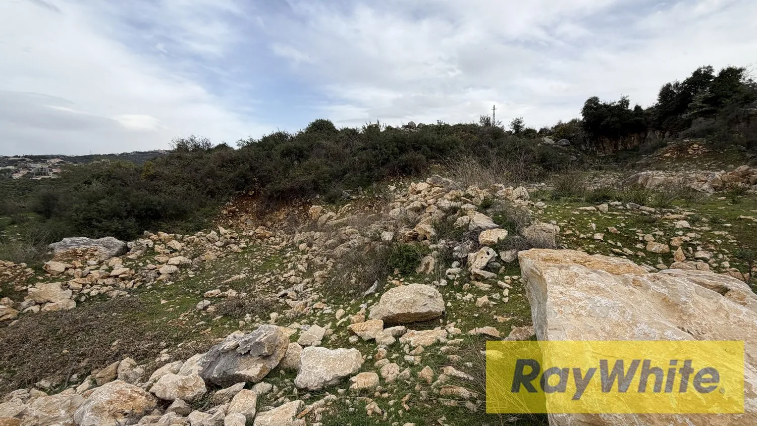 Land For Sale In Chamat Jbeil — الصورة 5