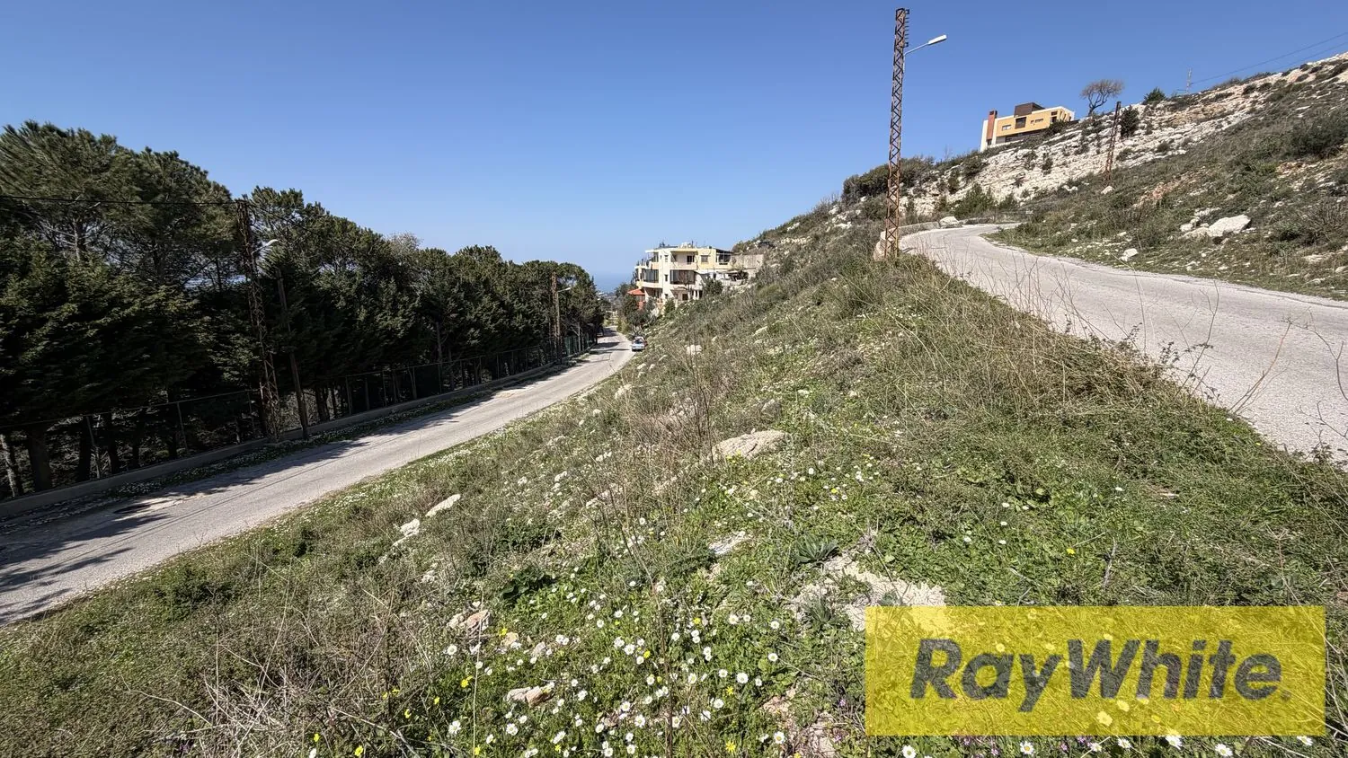 Land For Sale In Bentael Jbeil — photo 5