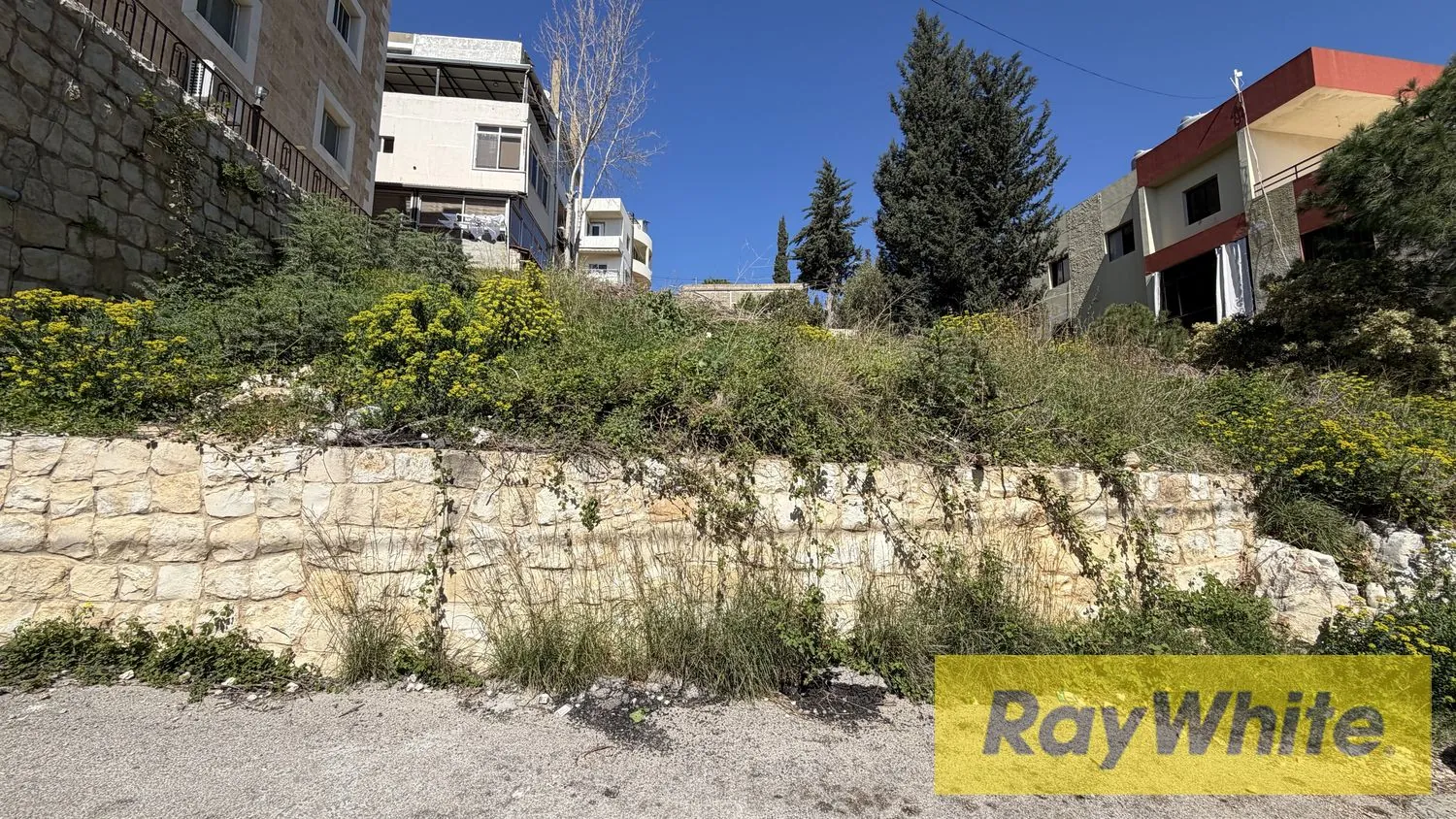 Land For Sale In Amchit Jbeil — الصورة 3