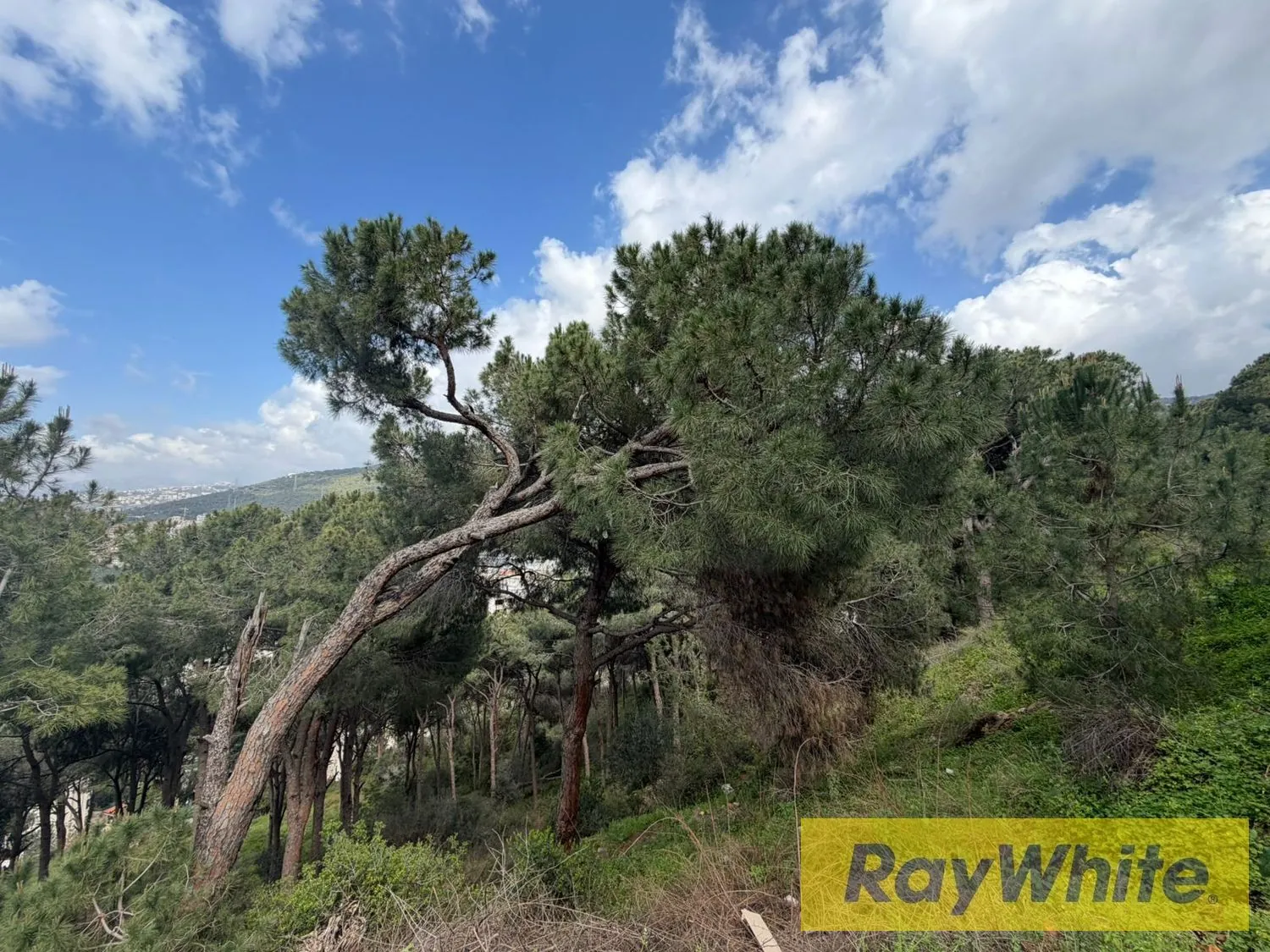 Land For Sale In Ain Saadeh – Sea + Mountain View