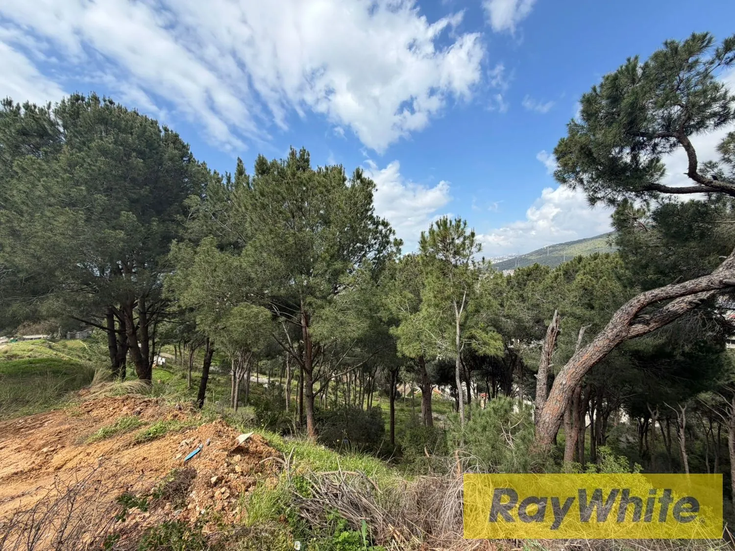 Land For Sale In Ain Saadeh – Sea + Mountain View — photo 3