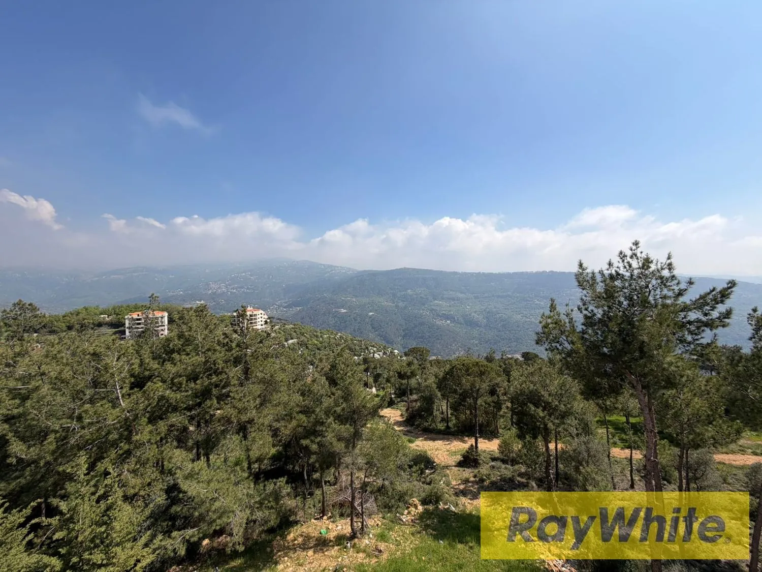 Land For Rent In Monteverde – 900 Sqm