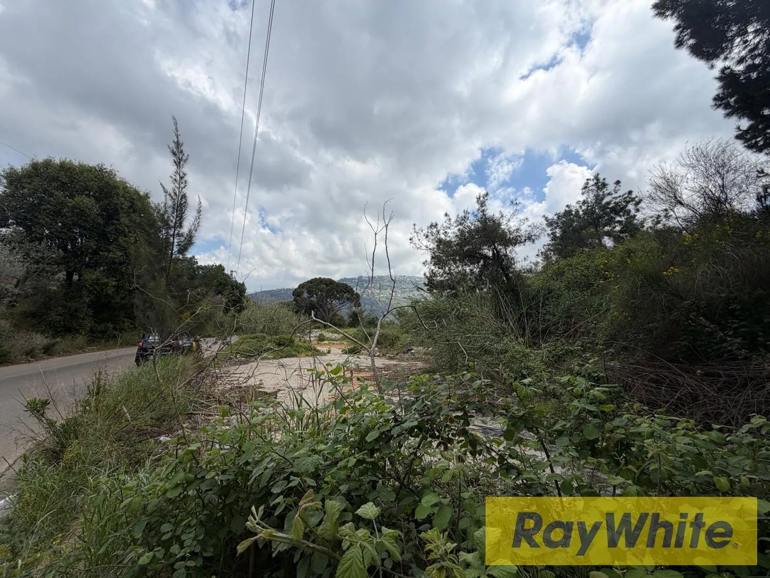 Land For Rent In Monteverde – 900 Sqm — الصورة 2