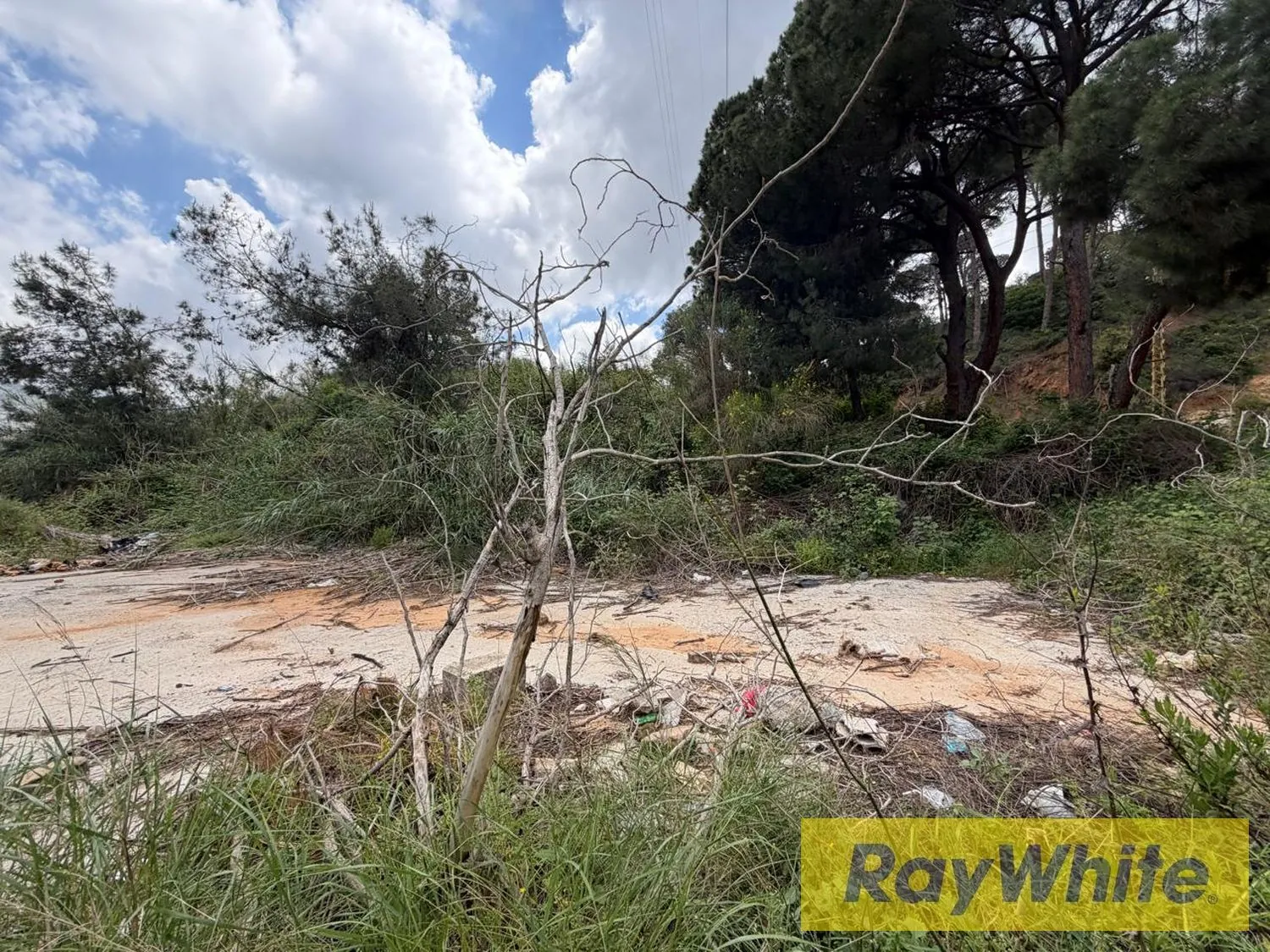 Land For Rent In Monteverde – 900 Sqm — الصورة 4