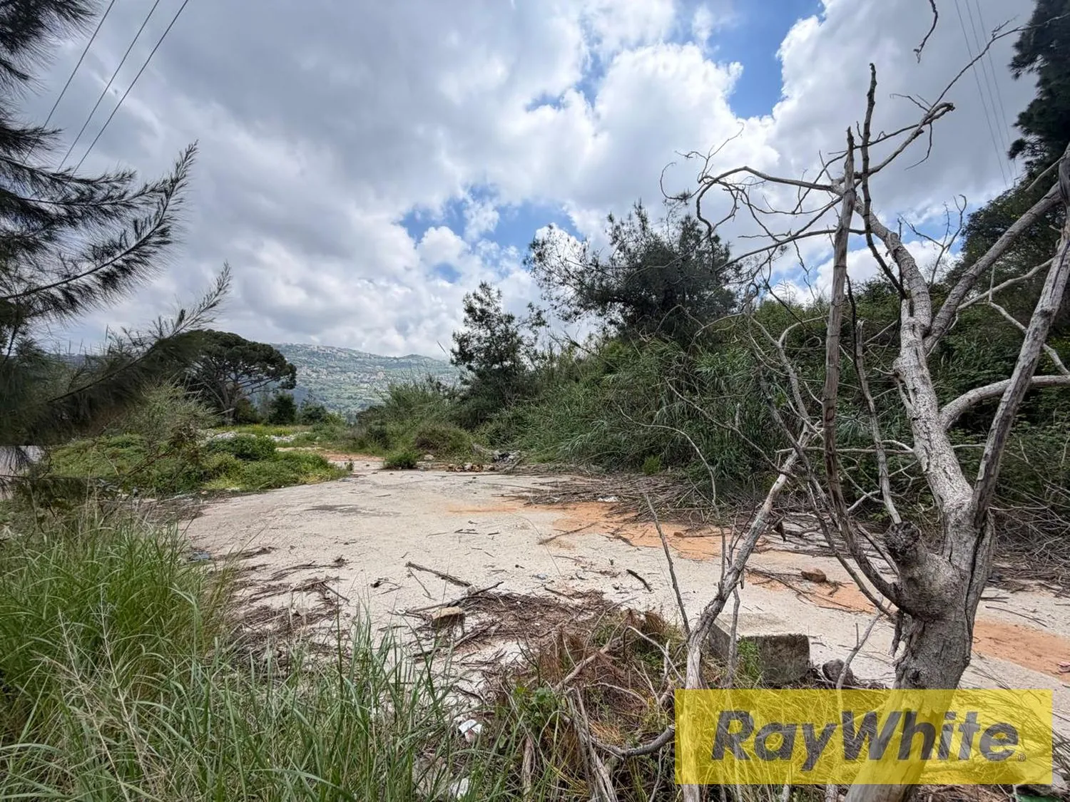Land For Rent In Monteverde – 900 Sqm — الصورة 5