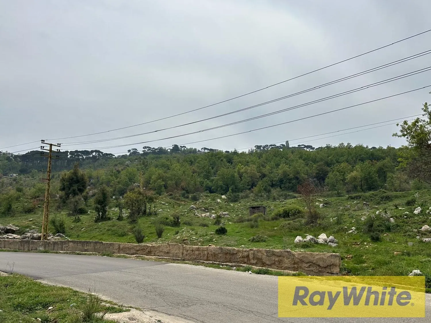 Land For Sale In Marjaba – 4085 Sqm | Zone 30/90 — photo 2