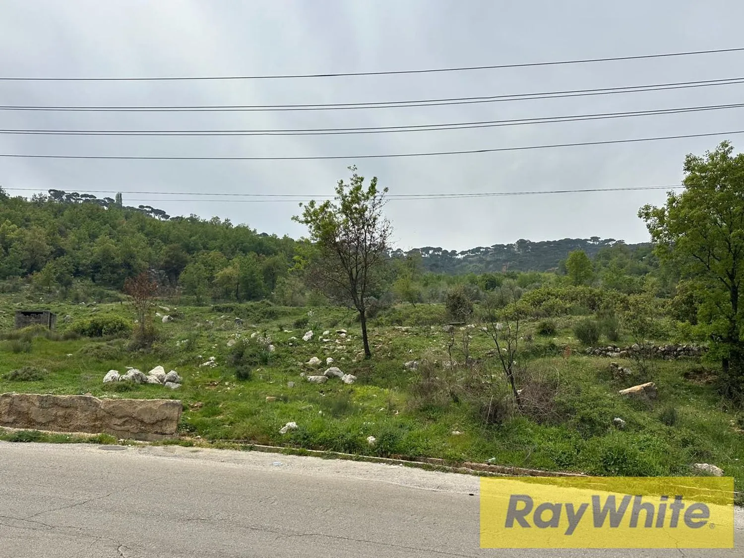 Land For Sale In Marjaba – 4085 Sqm | Zone 30/90 — photo 5