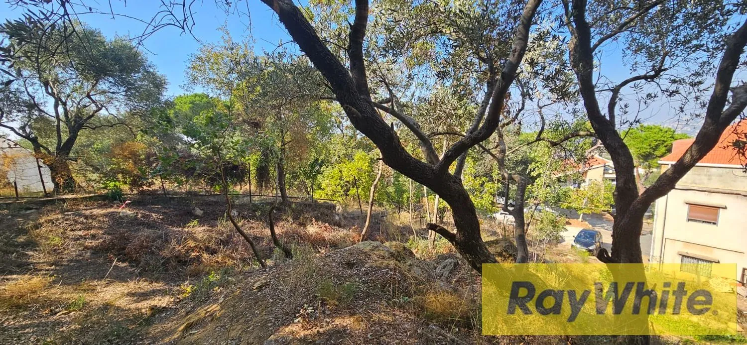 Unique Land For Sale In Ain Saadeh|roumieh|20|40zoning — photo 3