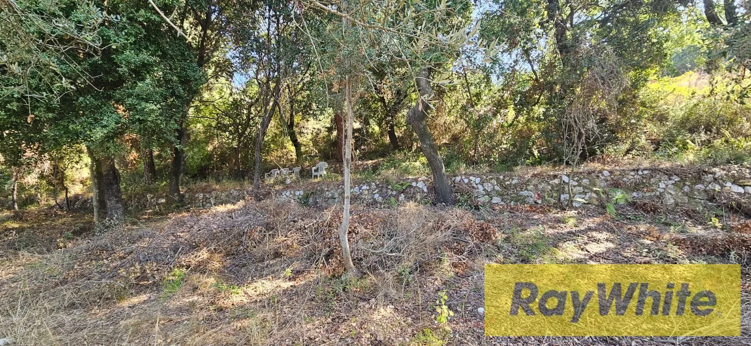 Unique Land For Sale In Ain Saadeh|roumieh|20|40zoning — photo 4