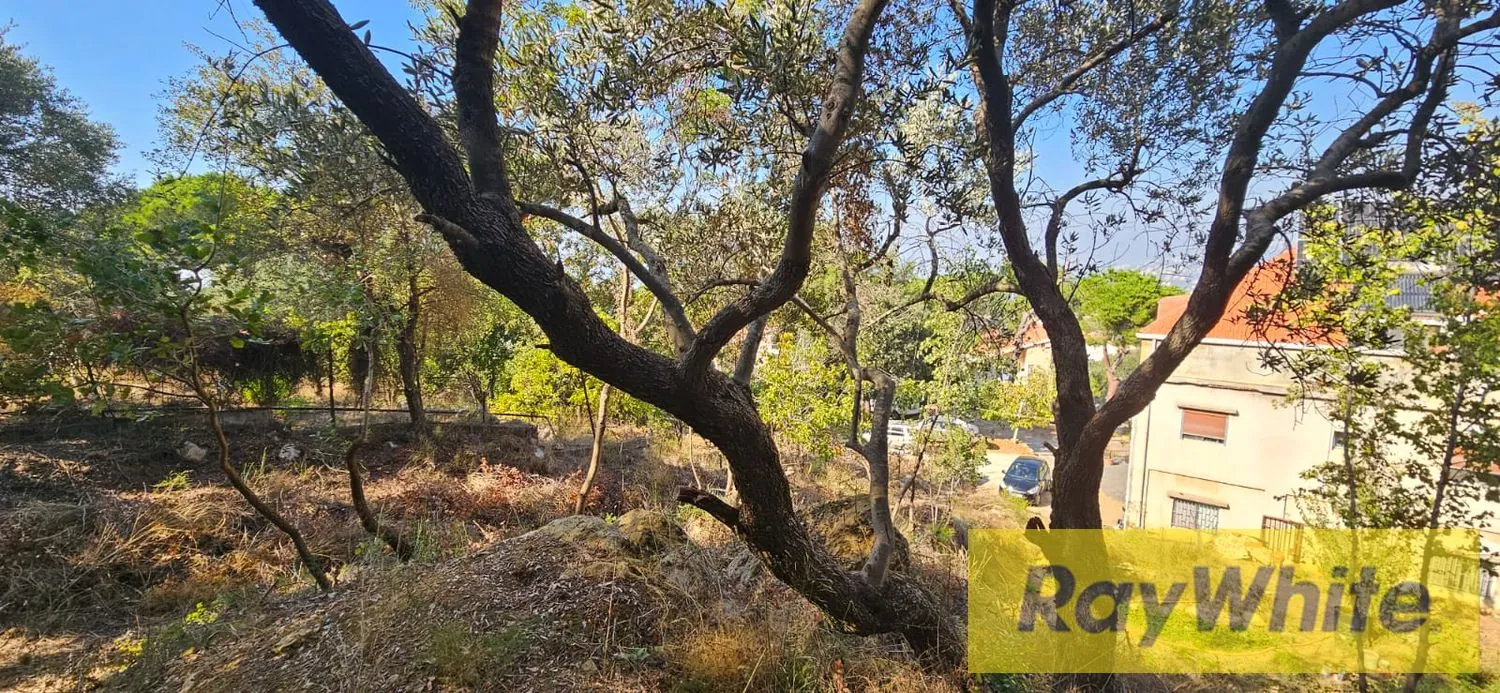 Unique Land For Sale In Ain Saadeh|roumieh|20|40zoning — photo 5