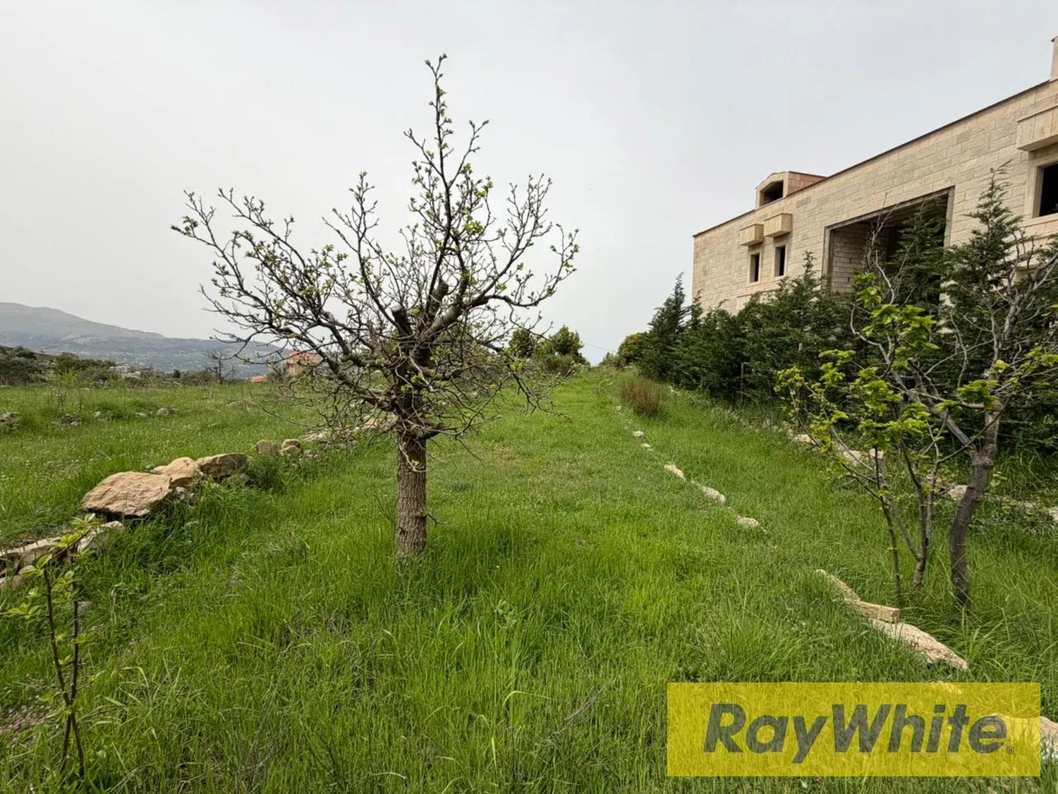 Land For Sale In Mrouj — الصورة 3