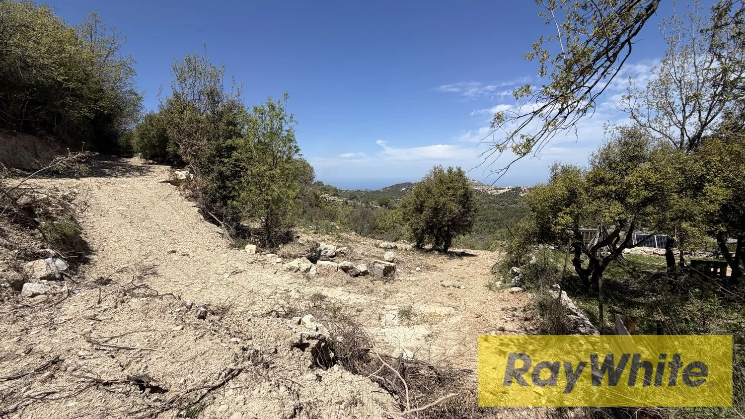 Land For Sale In Mechmech Jbeil — الصورة 5