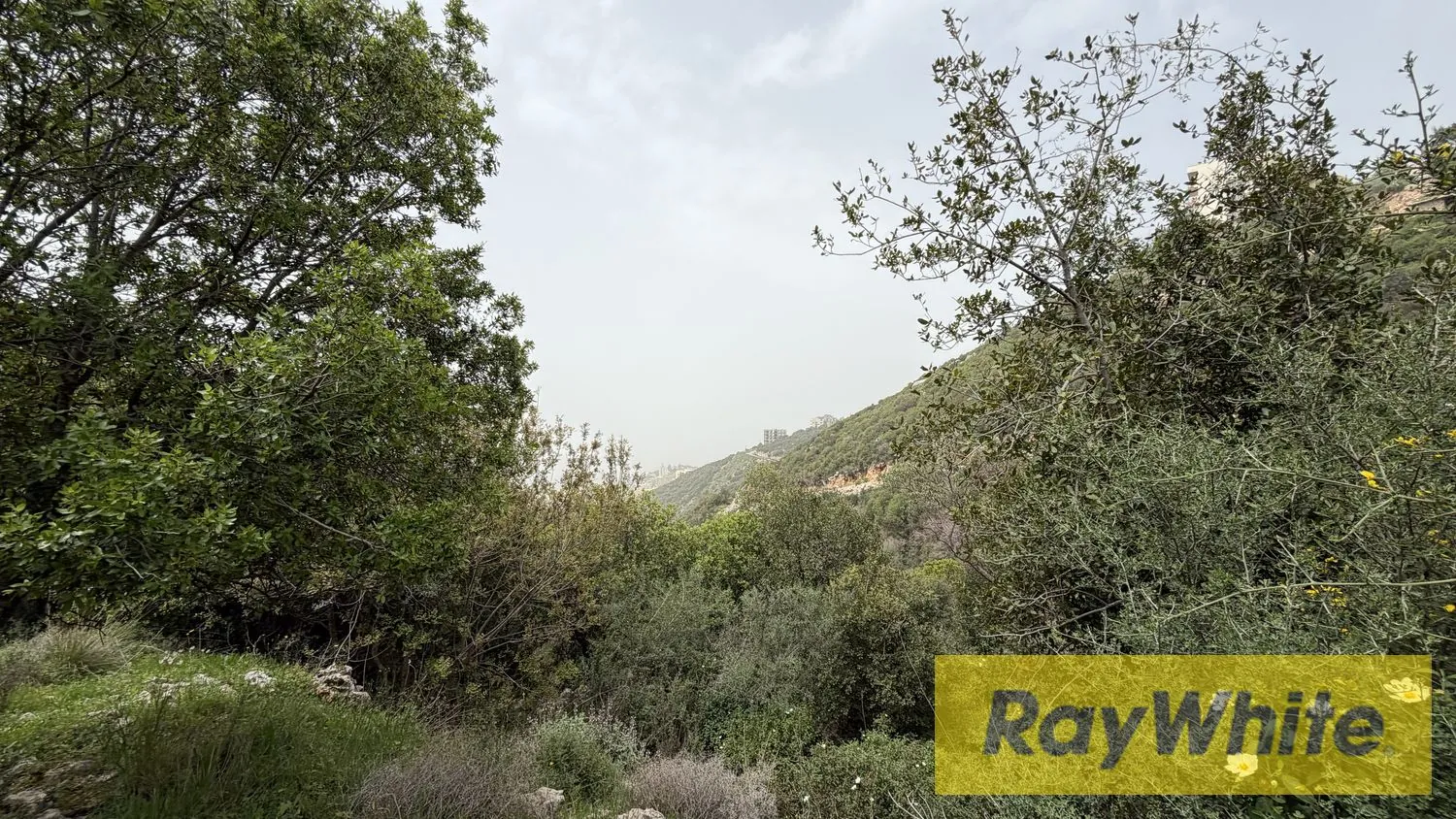 Land For Sale In Breij Jbeil — photo 3