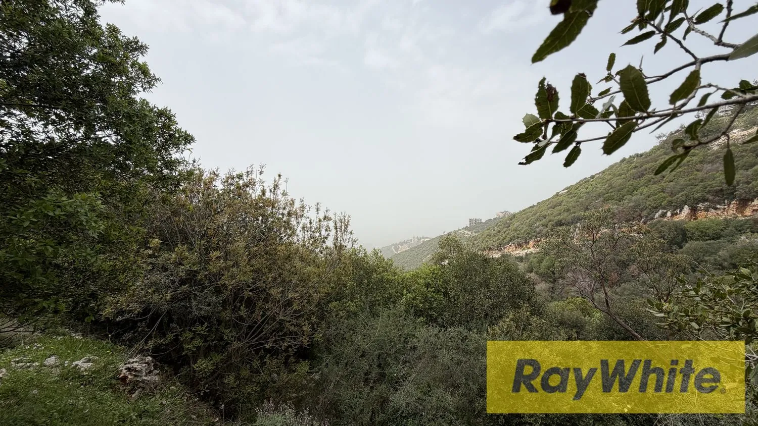 Land For Sale In Breij Jbeil — photo 4