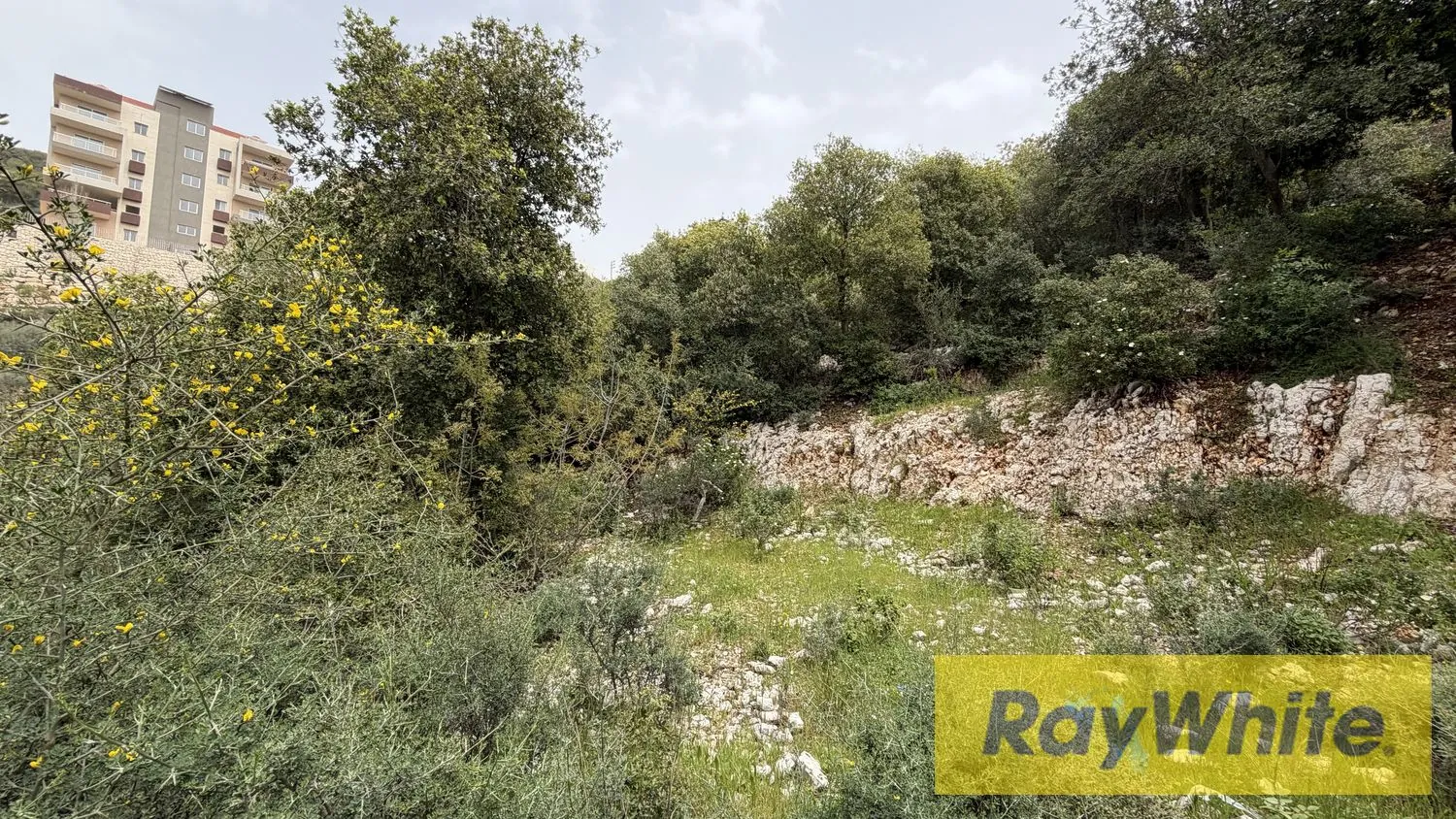 Land For Sale In Breij Jbeil — photo 5
