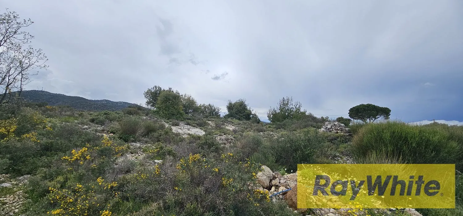 Land For Sale In Jbeil – Kherbeh — photo 4