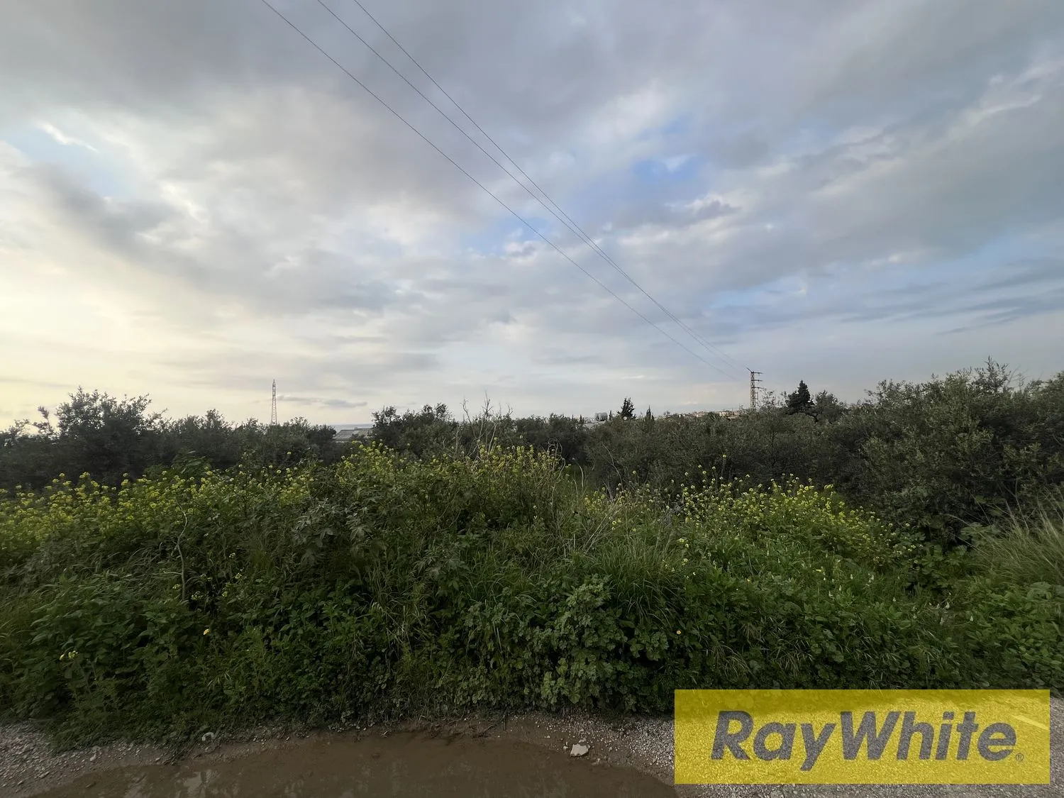 Prime Location Land For Sale In Ras Maska With Beautiful Sea View — الصورة 2