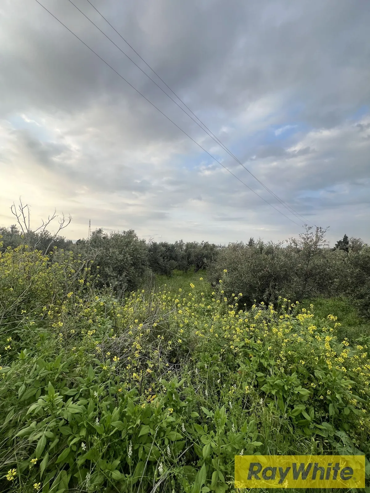 Prime Location Land For Sale In Ras Maska With Beautiful Sea View — الصورة 3