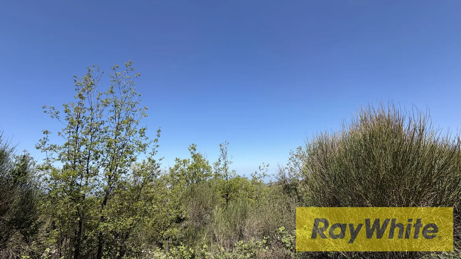 Land For Sale In Mechmech Jbeil With Sea And Mountain View — الصورة 2