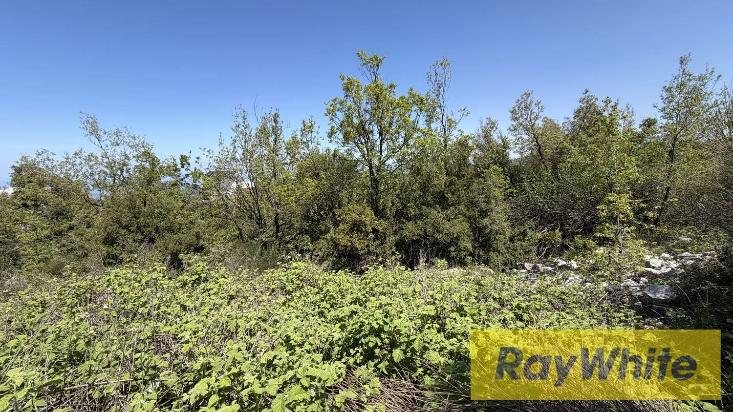 Land For Sale In Mechmech Jbeil With Sea And Mountain View — الصورة 5