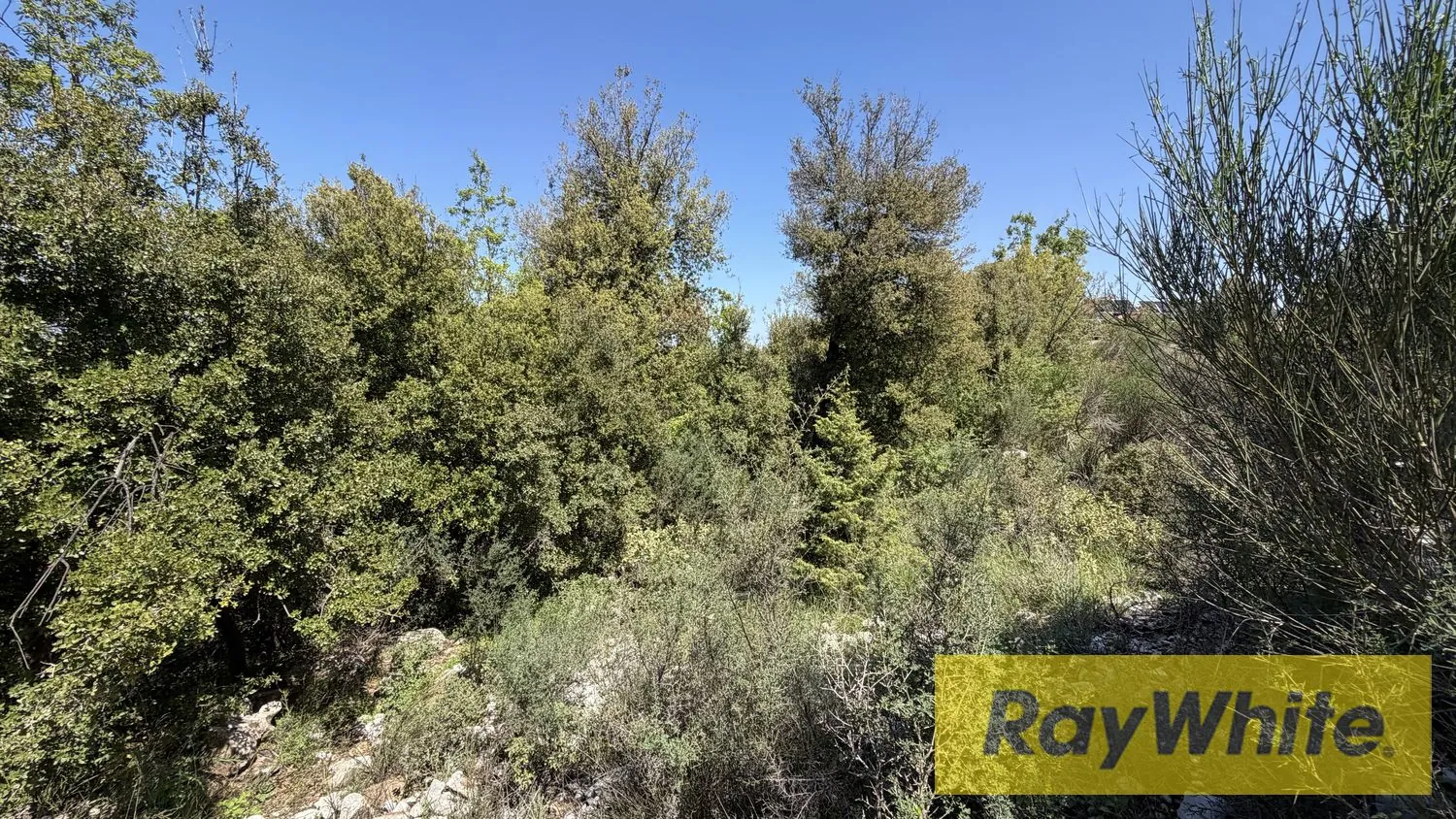 Land For Sale In Mechmech Jbeil With Sea And Mountain View — الصورة 3