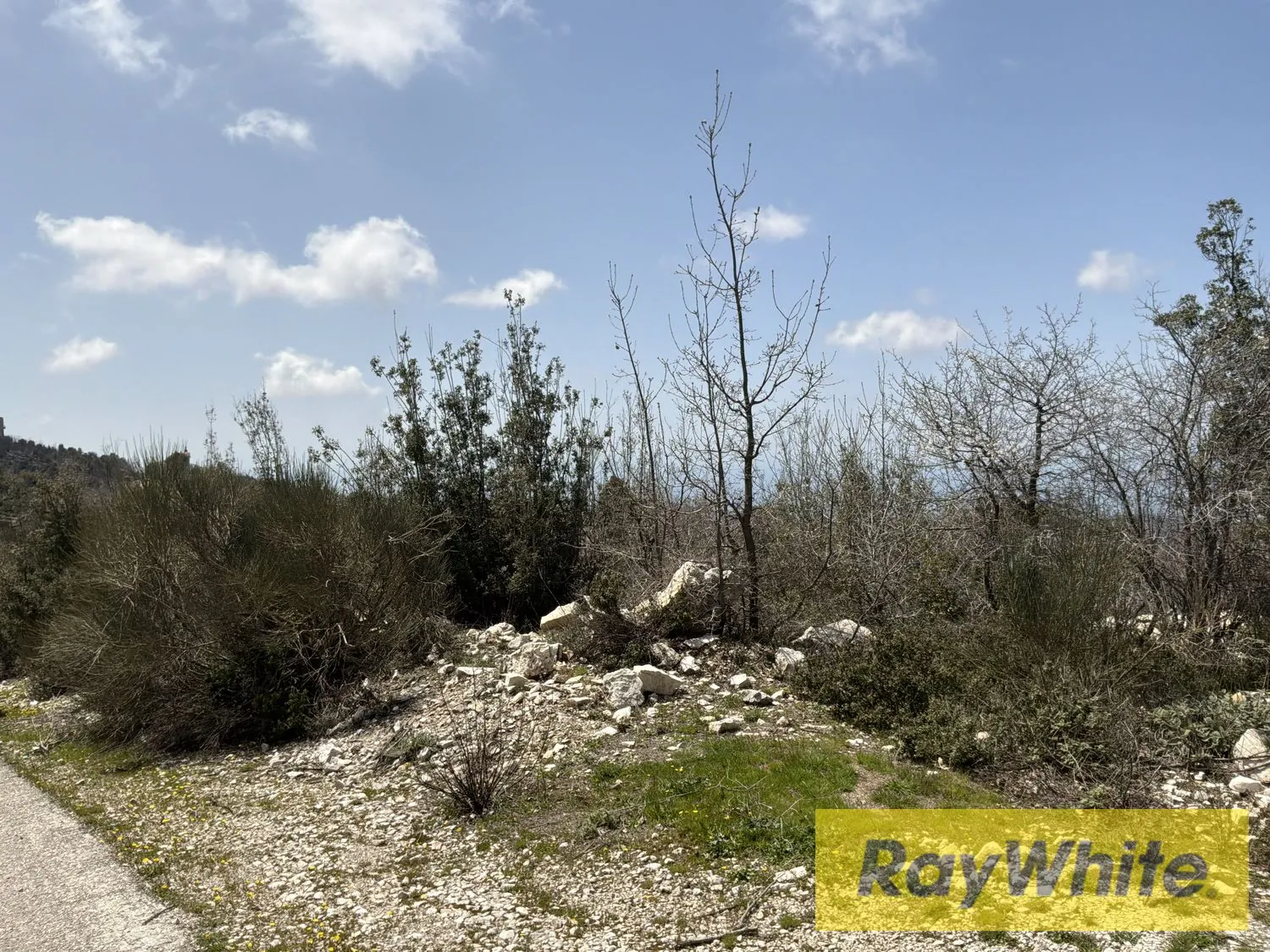 Land For Sale Mechmech Kfarsama — photo 2