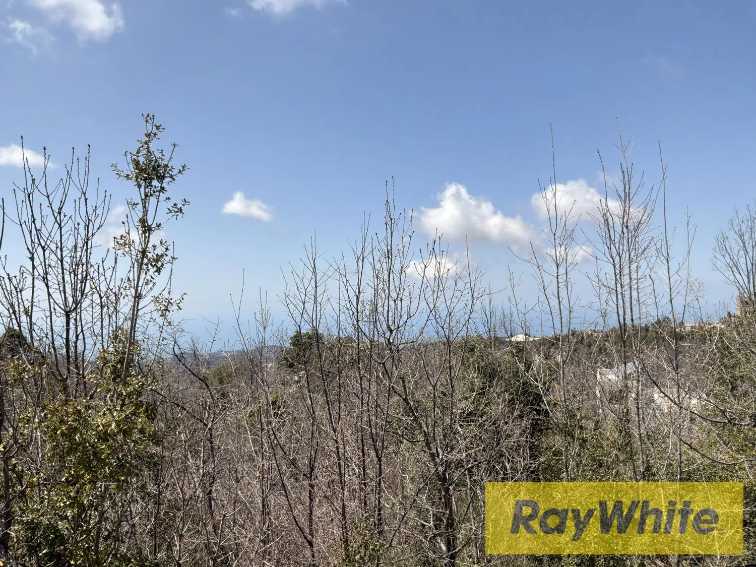 Land For Sale Mechmech Kfarsama — photo 3