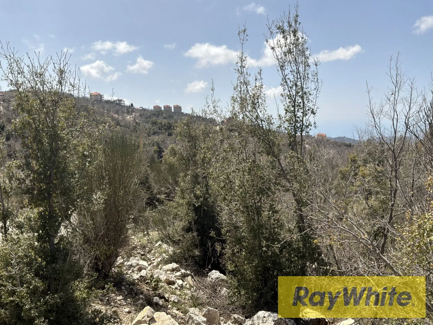 Land For Sale Mechmech Kfarsama — photo 5
