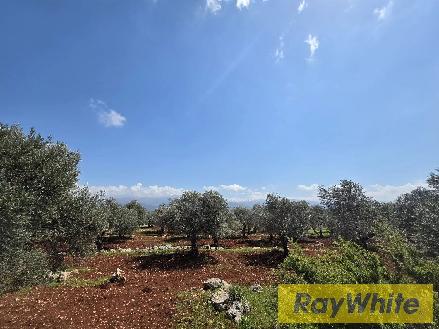 Land For Sale In Nakhle Koura — photo 2