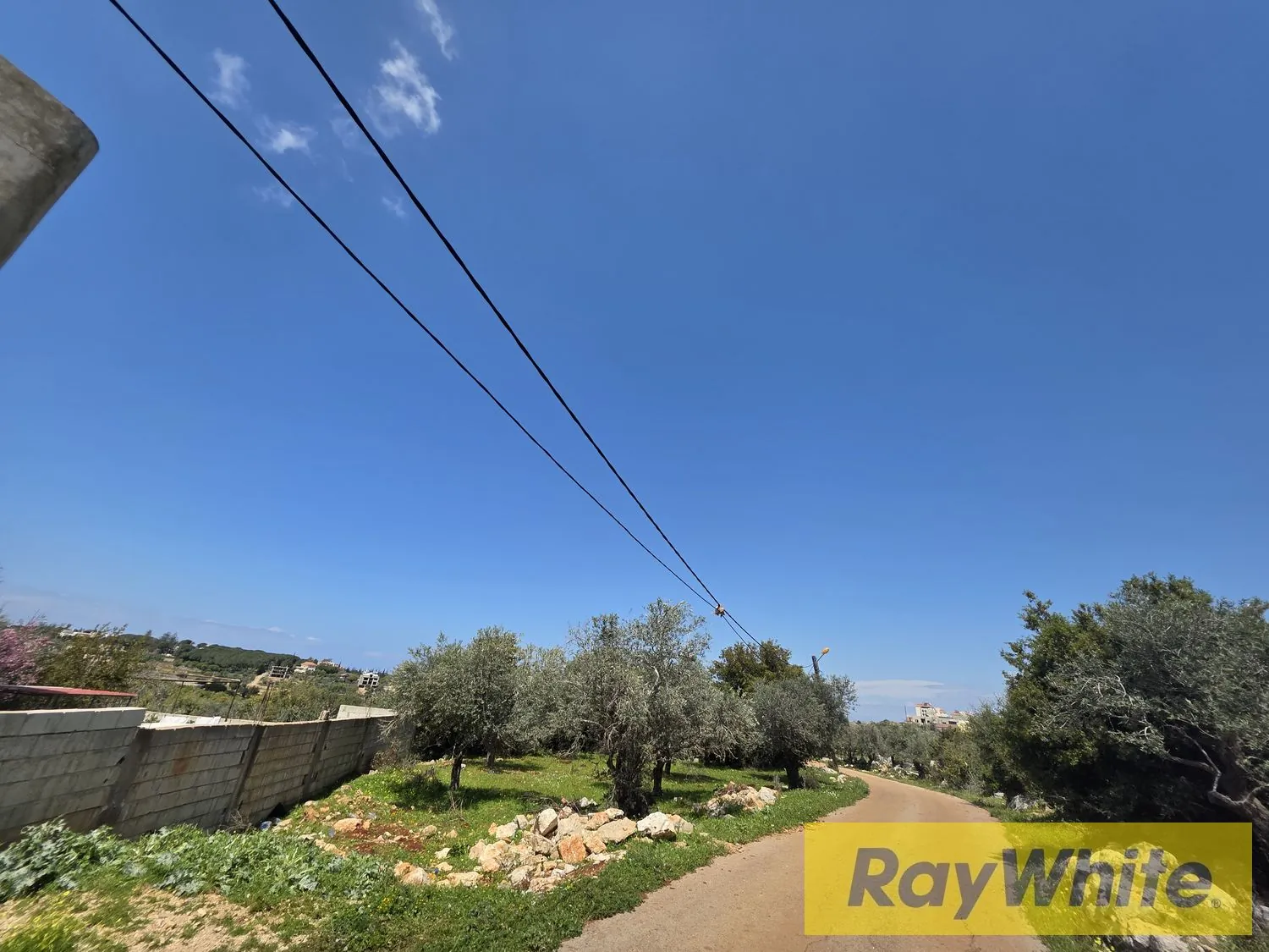 Land For Sale In Nakhle Koura — photo 3