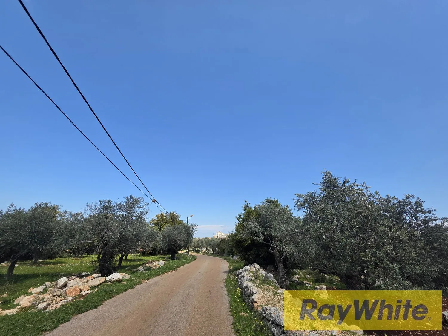 Land For Sale In Nakhle Koura — photo 4