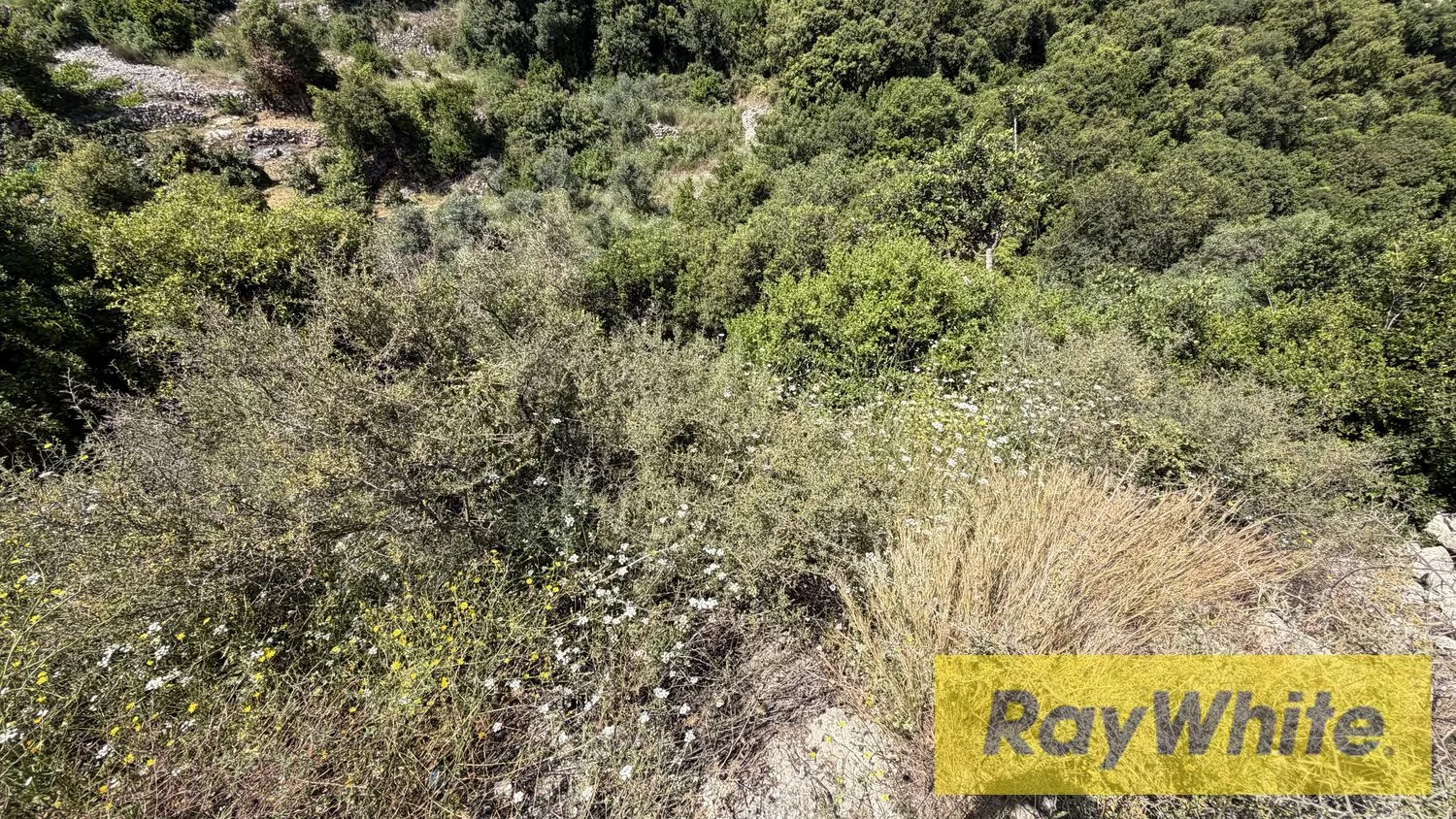 Land For Sale In Rihane Jbeil With Mountain And Sea View — الصورة 3