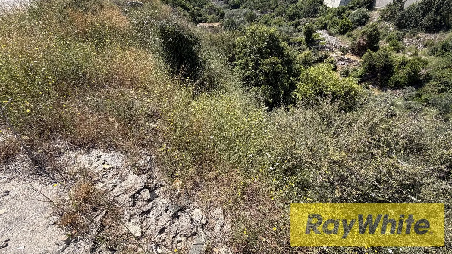 Land For Sale In Rihane Jbeil With Mountain And Sea View — الصورة 5