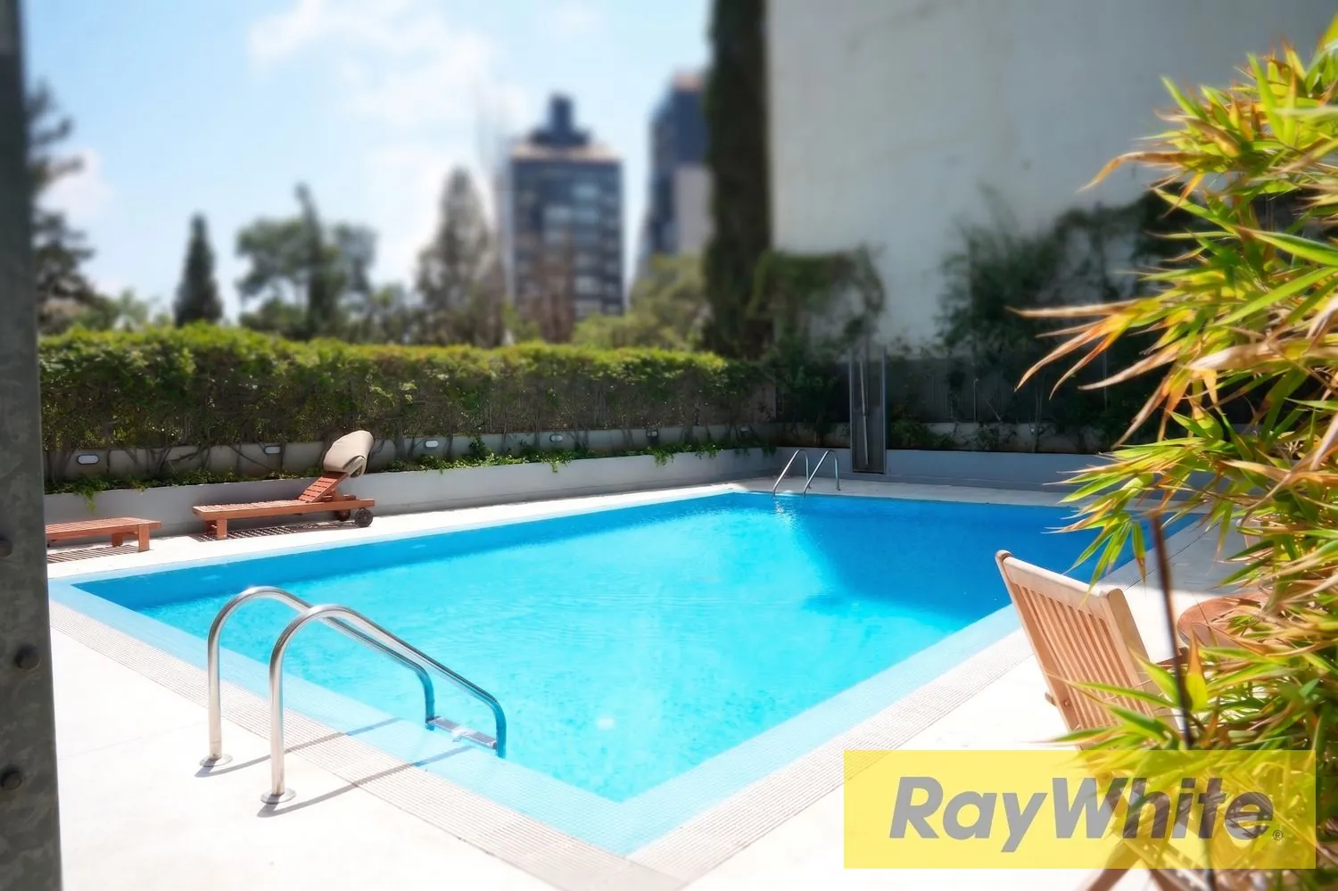 Furnished Apartment For Rent In Sodeco — photo 4