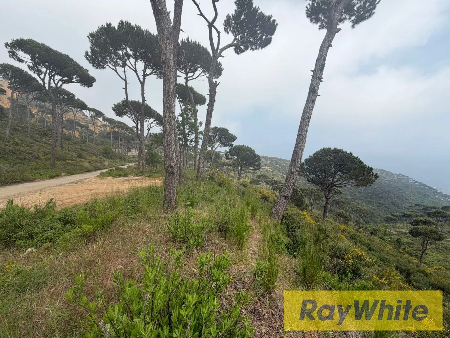 Land For Sale In Choueir