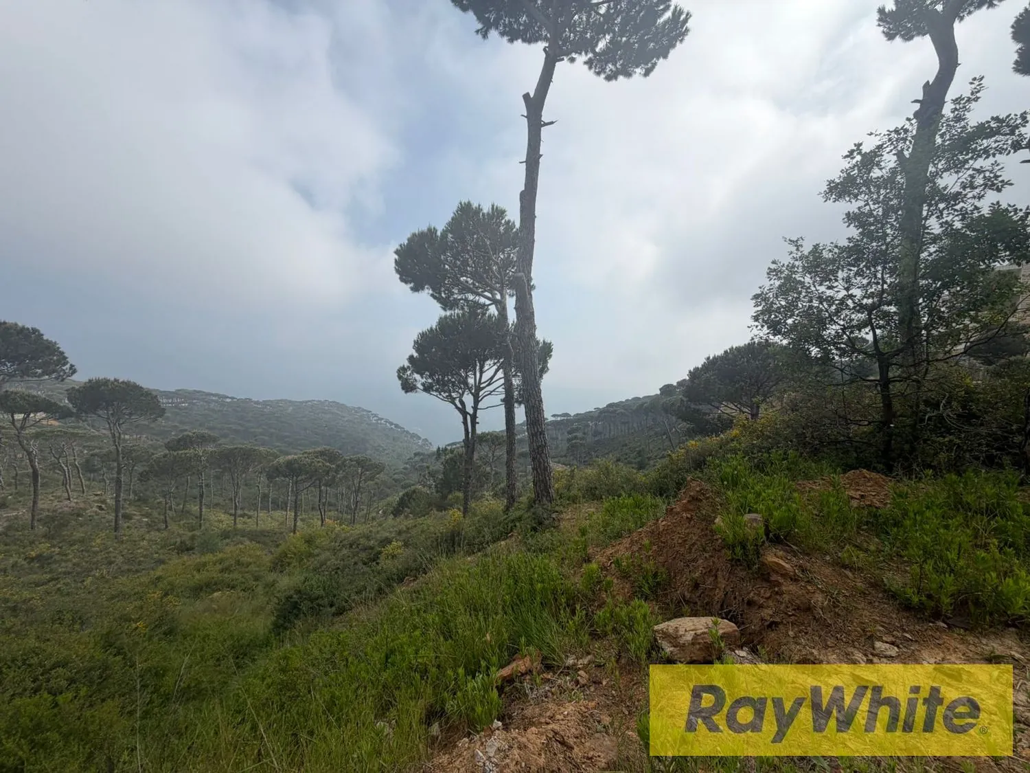 Land For Sale In Choueir — الصورة 2