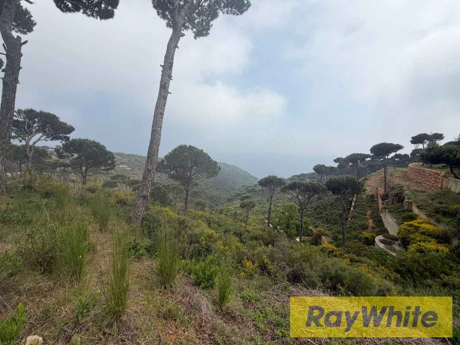 Land For Sale In Choueir — الصورة 3