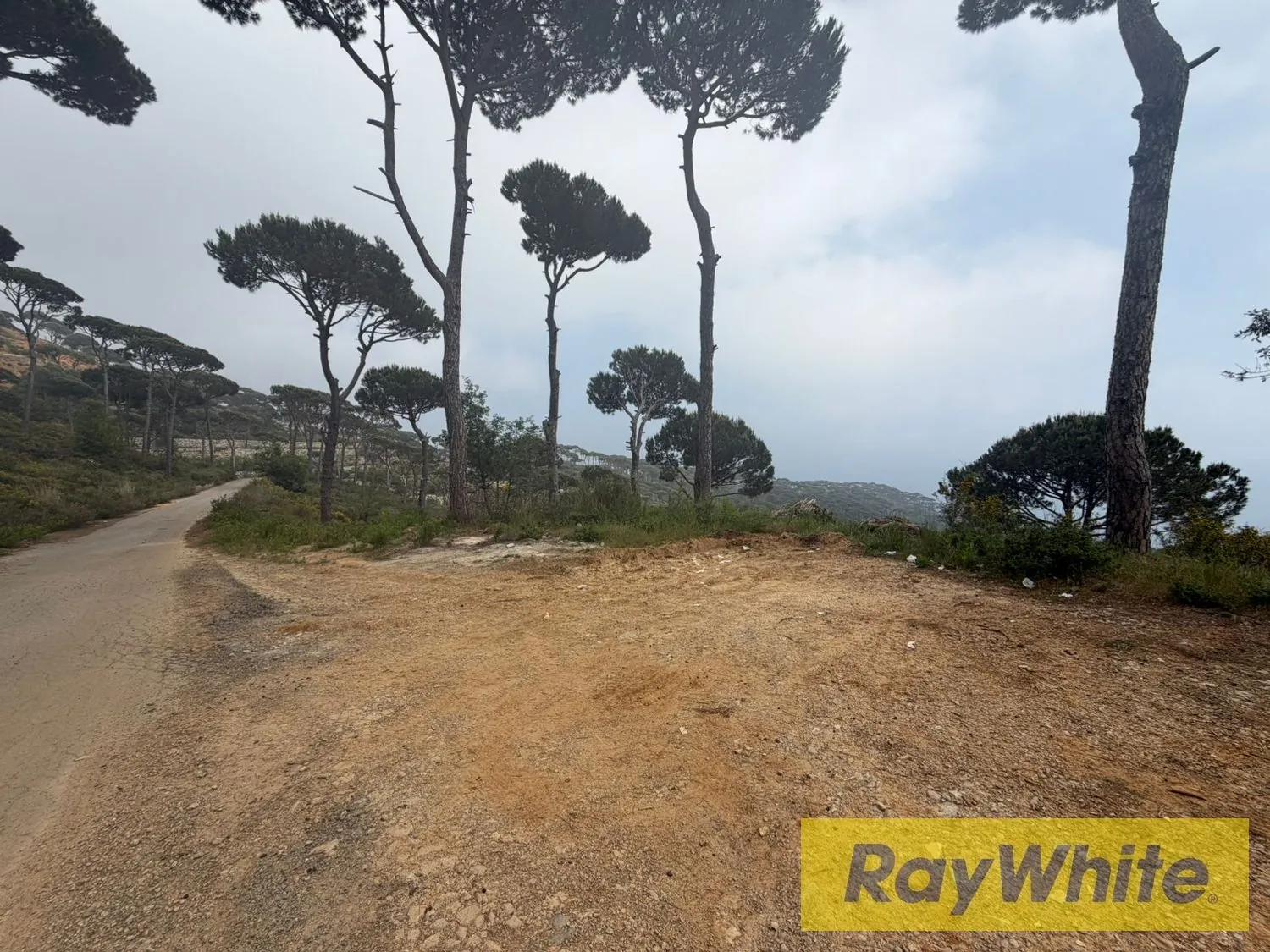 Land For Sale In Choueir — الصورة 4