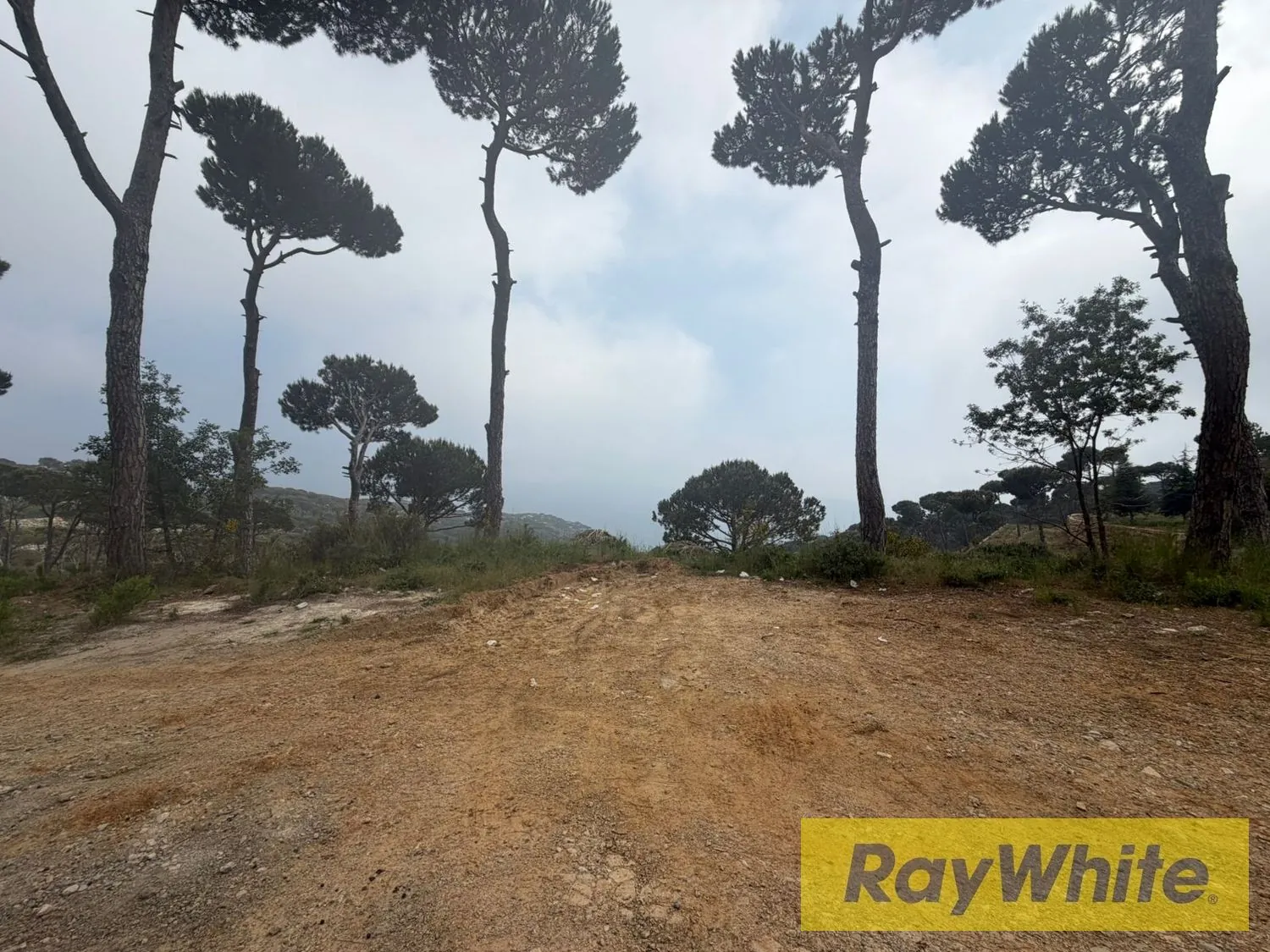 Land For Sale In Choueir — الصورة 5