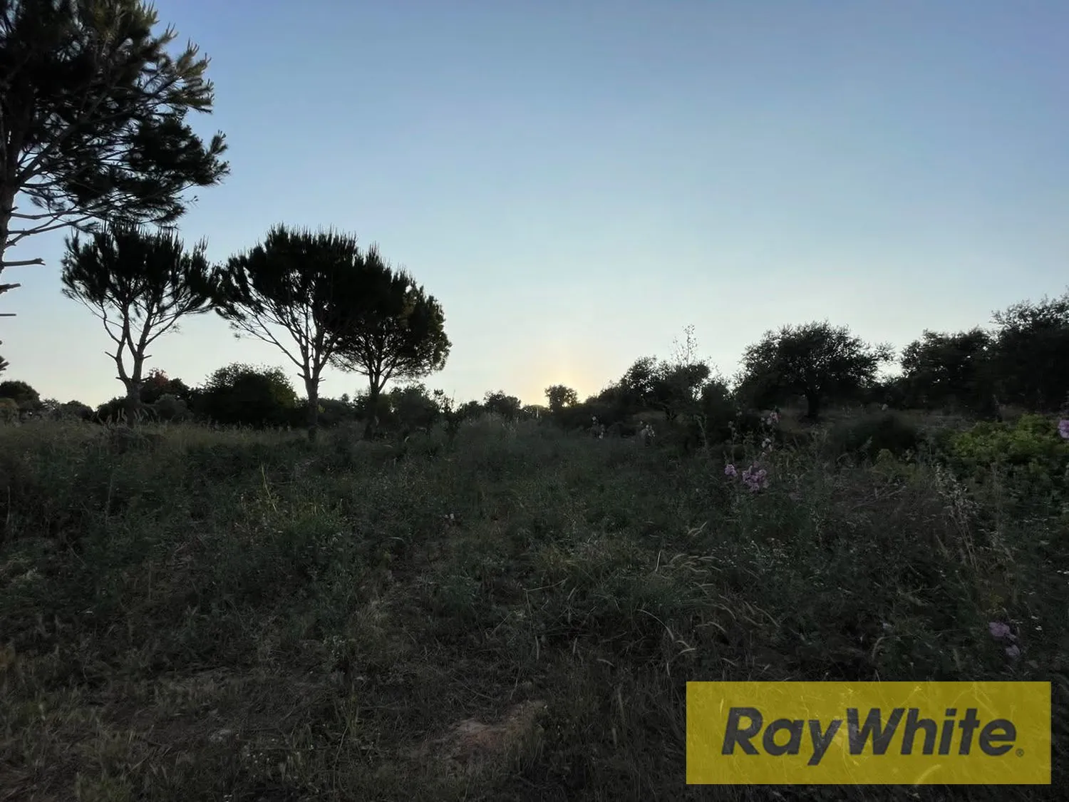 Land For Sale In Bechmezzine Koura — الصورة 2