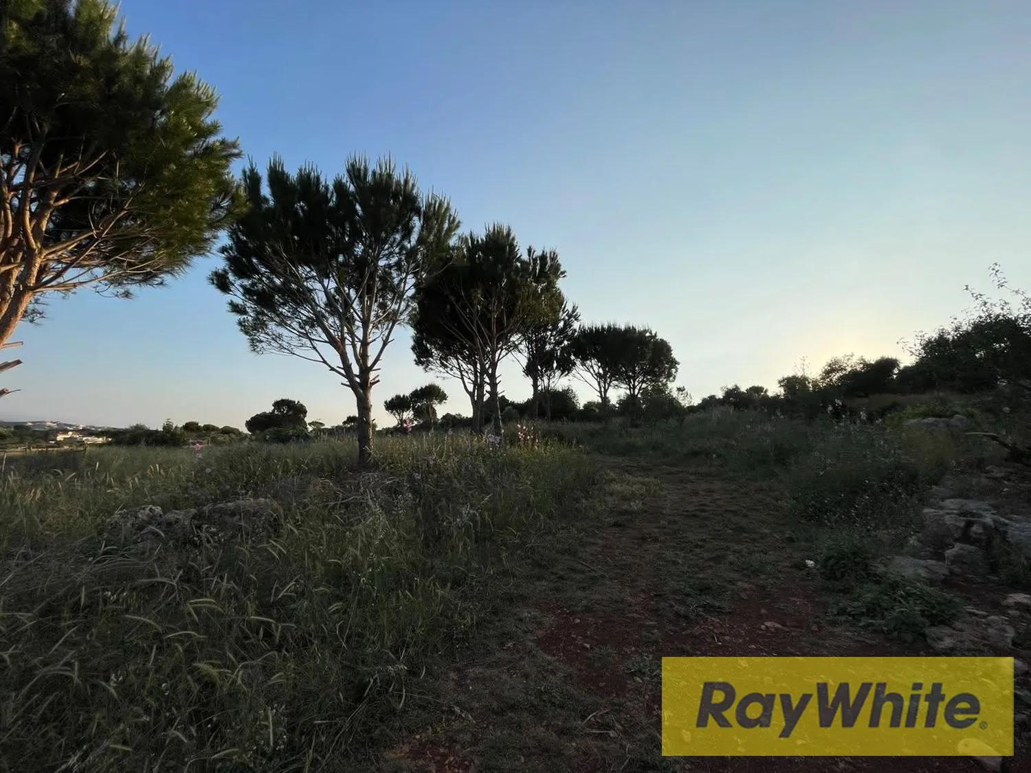 Land For Sale In Bechmezzine Koura — الصورة 3